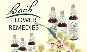 bach flower